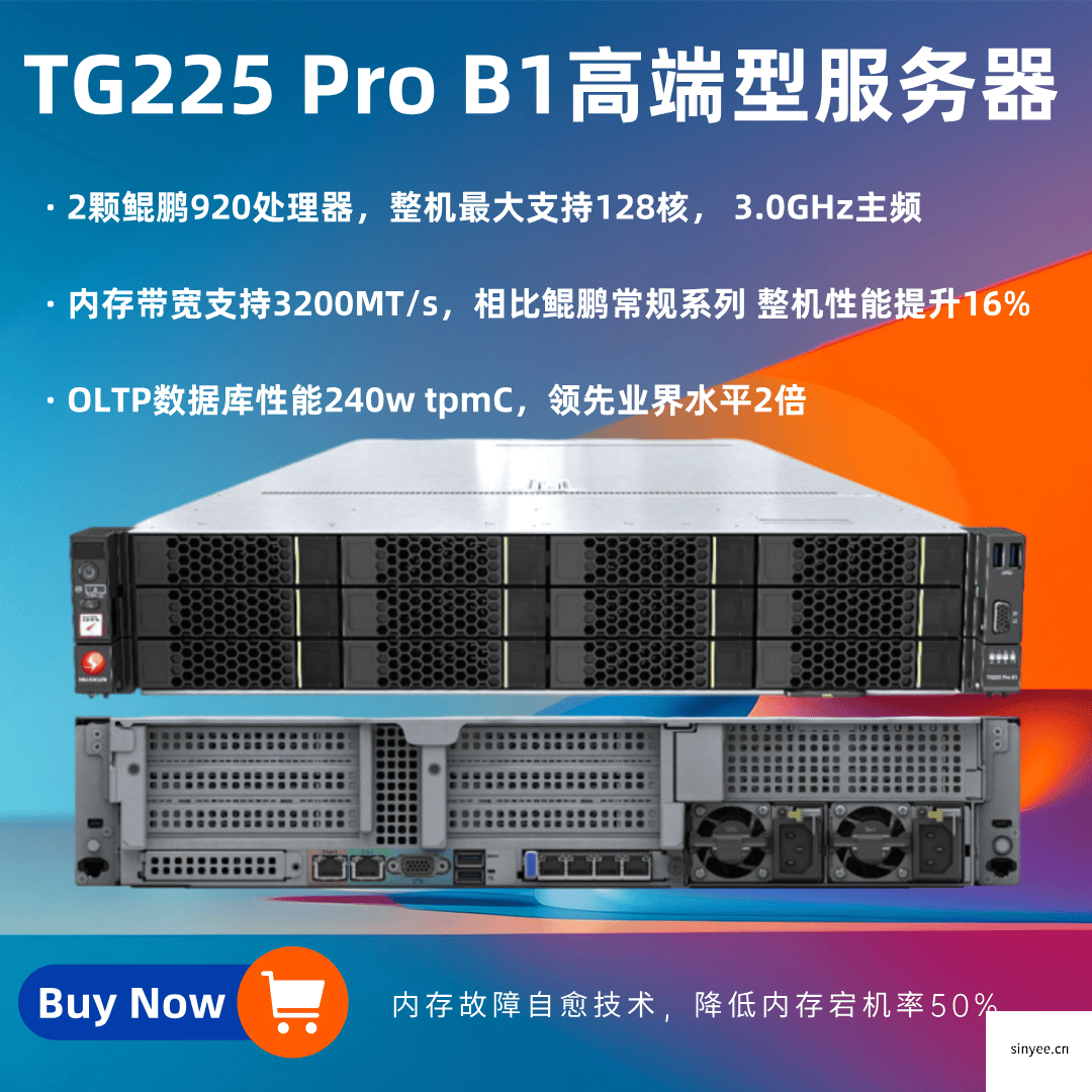 HuaKun TG225 Pro B1路高端型服務(wù)器